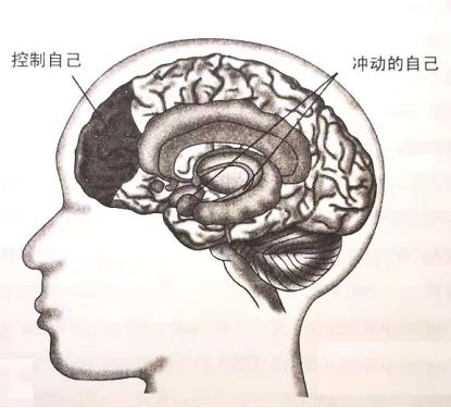 名侦探柯南最新一集,名侦探柯南最新一集，深度解析与探讨