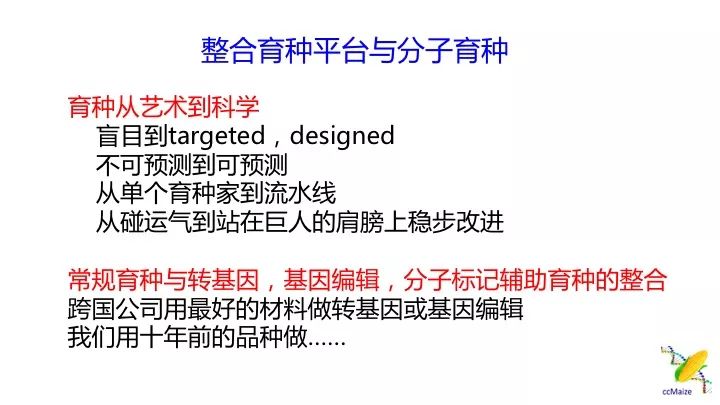 占豪的最新文章,占豪最新文章，全球化背景下的挑战与机遇