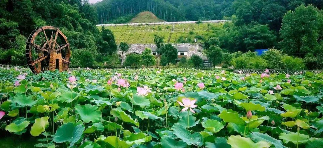 松江区石湖荡镇 第173页