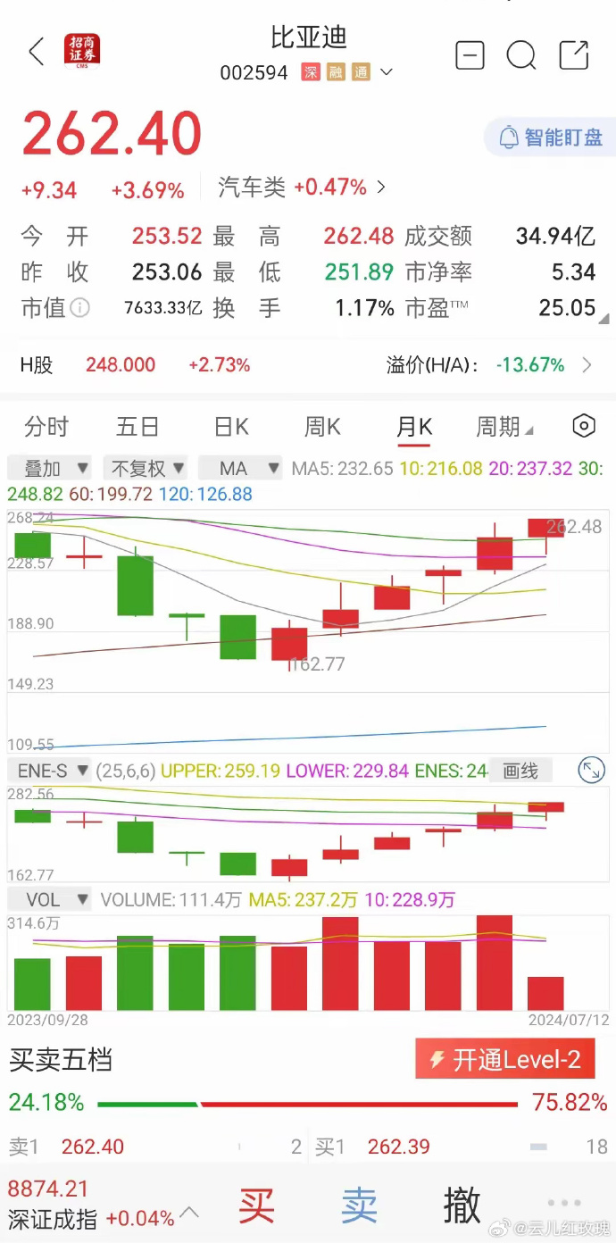 比亚迪股票最新消息,比亚迪股票最新消息，市场走势及前景展望