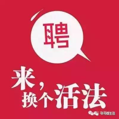 寻乌县最新招聘信息,寻乌县最新招聘信息概览