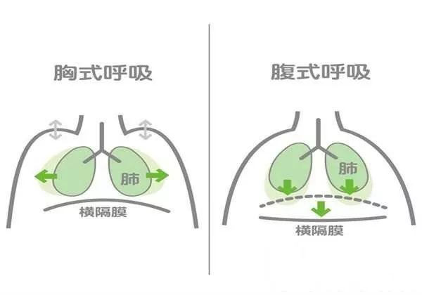 最新心三联和呼三联,最新心三联与呼三联，重塑心脏与呼吸健康的希望之光