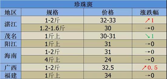 虾价格最新行情,虾价格最新行情分析