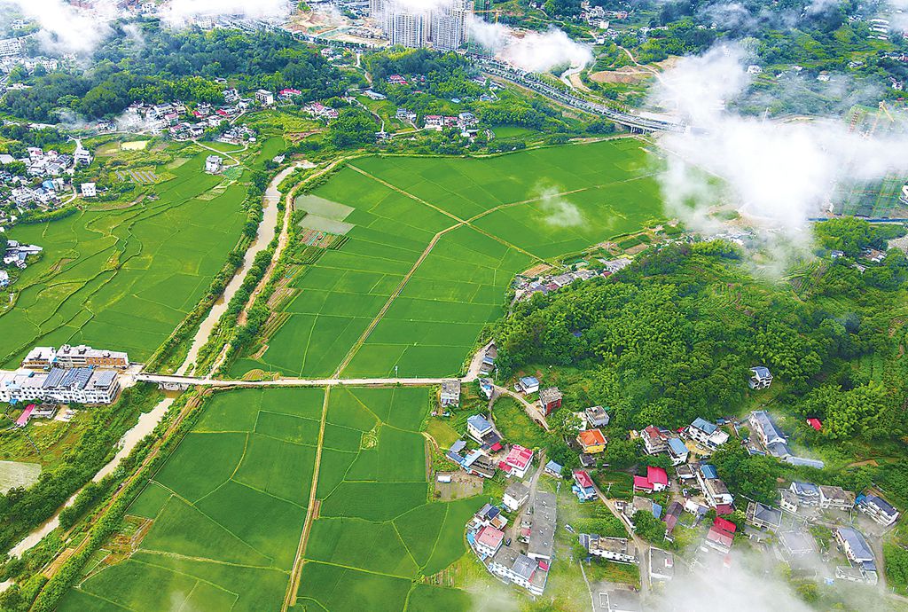 江苏雨欣农业科技,江苏雨欣农业科技，引领现代农业，助力乡村振兴