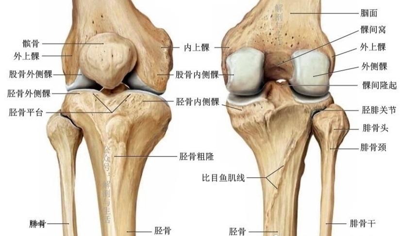 骨折几个月好,骨折几个月好，恢复的时间与因素