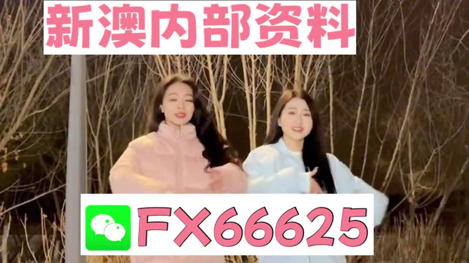 管家婆最准一肖一特,关于管家婆最准一肖一特的探讨——警惕背后的违法犯罪问题