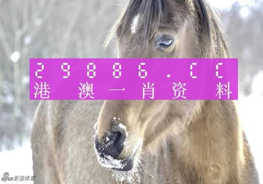 第704页