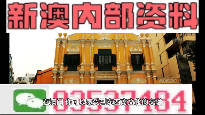 澳门高级内部vip资料,澳门高级内部VIP资料，揭示违法犯罪风险与应对之道