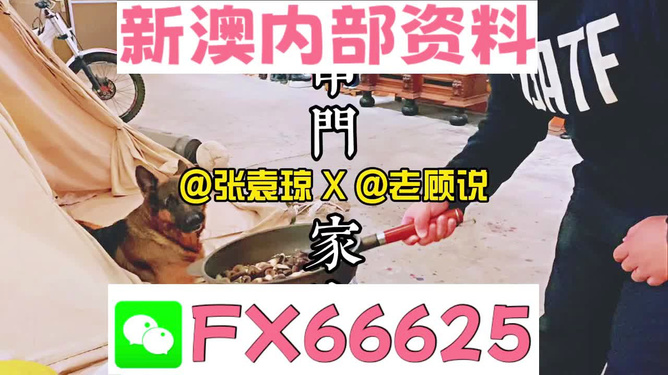 新澳门精准资料大全管家婆料,警惕新澳门精准资料大全管家婆料——揭开犯罪行为的真相