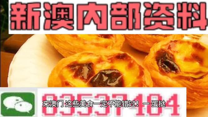 澳门内部正版资料大全,澳门内部正版资料大全，揭示违法犯罪问题的重要性