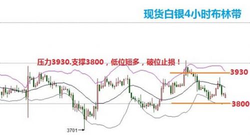 跑狗图993994www跑狗玄机,探索跑狗图，揭示跑狗玄机与数字背后的故事