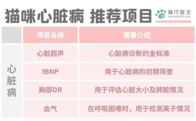 一码一肖100准你好,一码一肖，揭秘背后的真相与警示社会的重要性