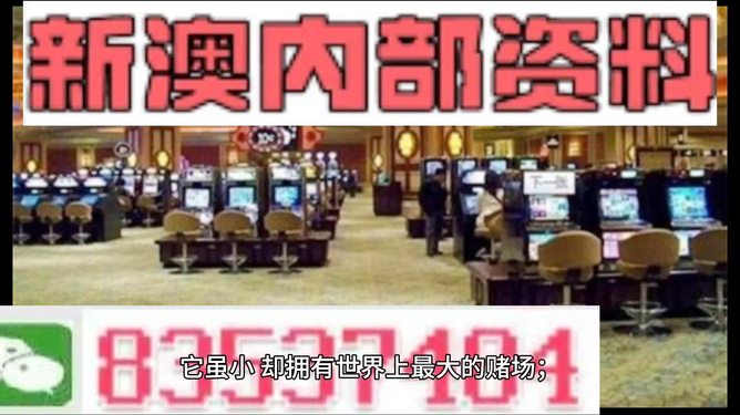 2024新澳精准正版资料,探索2024新澳精准正版资料的价值与重要性