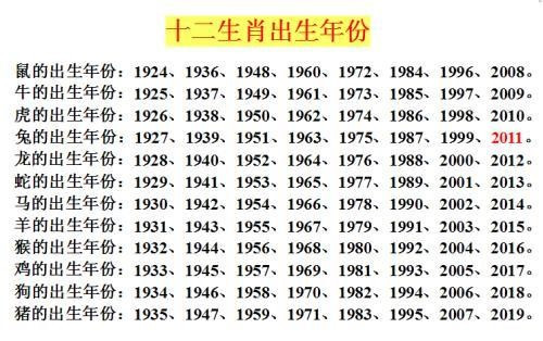 2024十二生肖49码表|气派释义解释落实,关于十二生肖与气派的深度解读，从49码表到落实的探讨