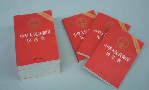 2024年正版资料免费大全特色|以法释义解释落实,迈向未来，解析2024年正版资料免费大全的特色与落实策略