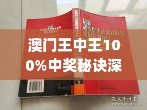 新澳门王中王100%期期中|产业释义解释落实,新澳门王中王期期中现象与产业释义解释落实——揭示背后的风险与挑战