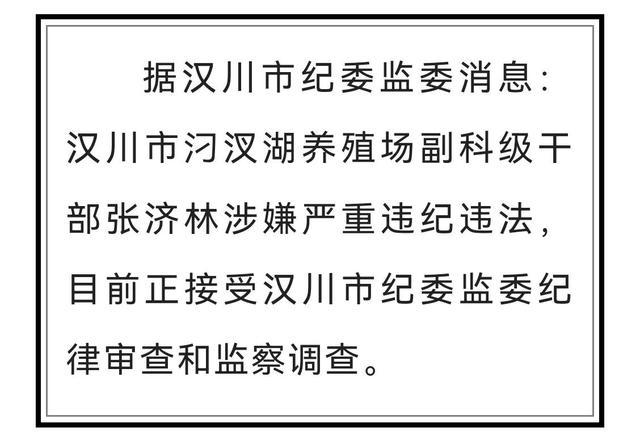 今晚上澳门必中一肖|操作释义解释落实,关于今晚上澳门必中一肖的操作释义解释落实，一个关于违法犯罪问题的探讨