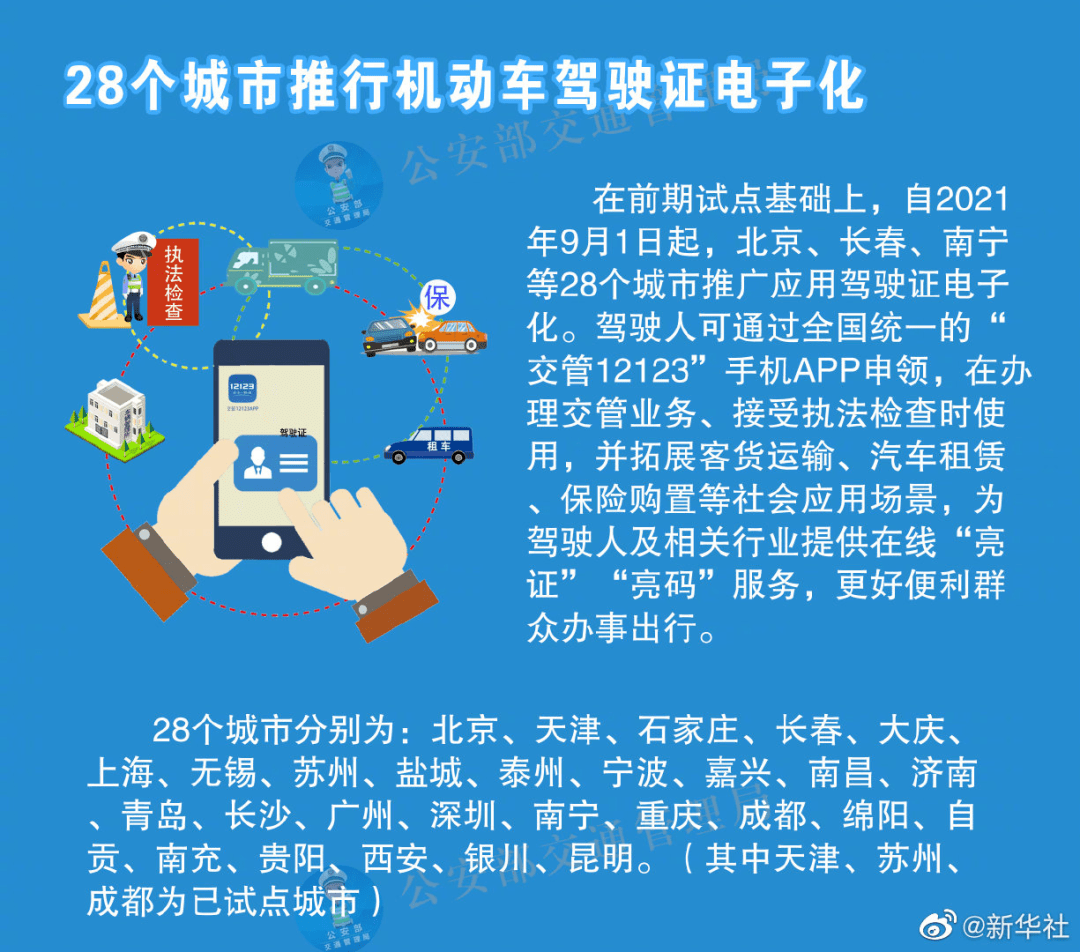 2024全年资料免费大全一肖一特|素养释义解释落实,探索未来，关于素养释义与落实的深入解读——以一肖一特为指引的2024全年资料免费大全