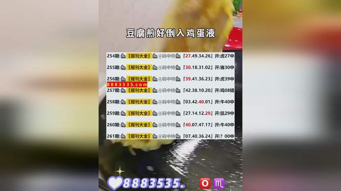 新澳2024年开奖记录|品质释义解释落实,新澳2024年开奖记录与品质释义的落实解析