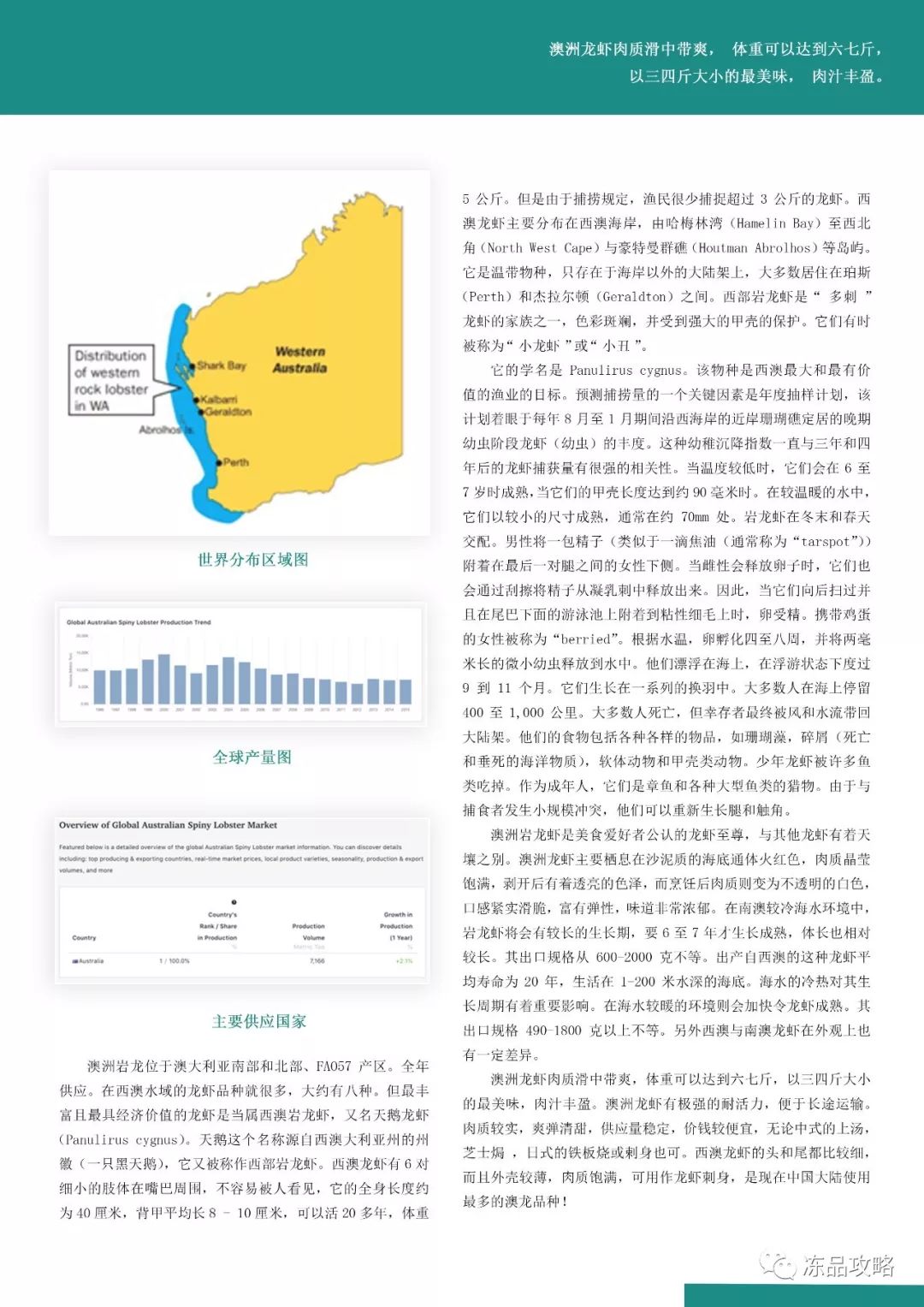 新澳2024年最新版资料|化验释义解释落实,新澳2024年最新版资料与化验释义解释落实的全面解读