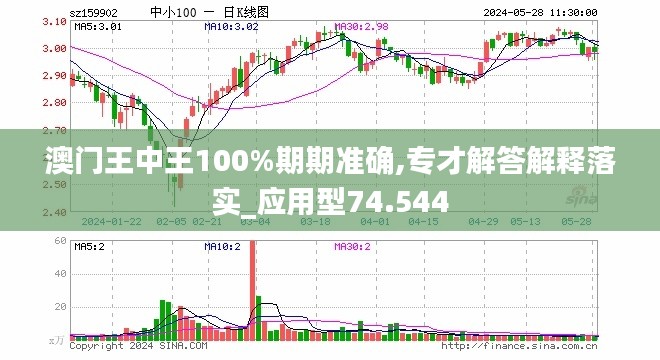 新澳门王中王100%期期中|外包释义解释落实,新澳门王中王期期中与外包释义解释落实的探讨