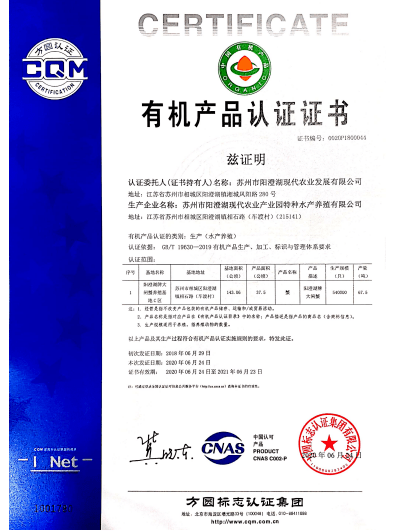 新奥门特免费资料大全管家婆料|可靠释义解释落实,新澳门特免费资料大全与管家婆料，可靠释义、解释与落实