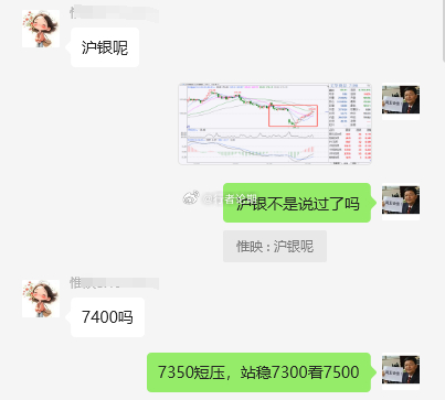 白小姐一肖一码100准261期|领悟释义解释落实,白小姐一肖一码，深度解读与落实策略