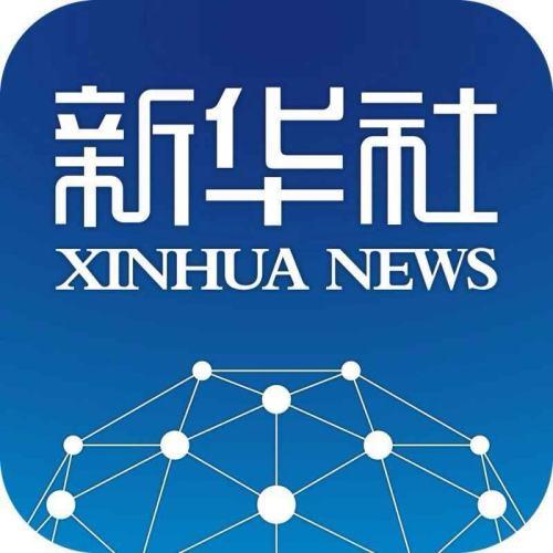 2024澳门精准正版图库|接力释义解释落实,澳门正版图库接力释义解释落实，深入解读与应对策略