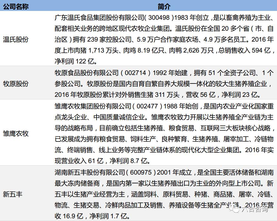 新奥彩资料长期免费公开|化执释义解释落实,新奥彩资料长期免费公开，化执释义、解释落实的深远影响