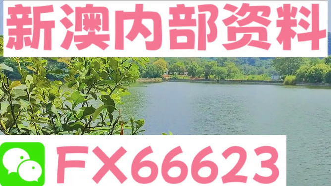 新澳精准资料大全免费|再造释义解释落实,新澳精准资料大全免费，再造释义、解释与落实