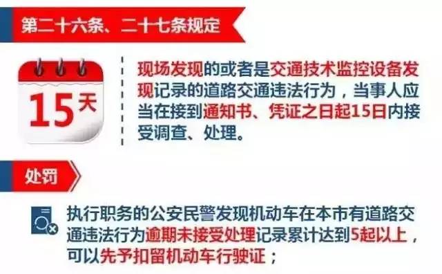 新澳2024年开奖记录|坚韧释义解释落实,新澳2024年开奖记录与坚韧精神的实践诠释