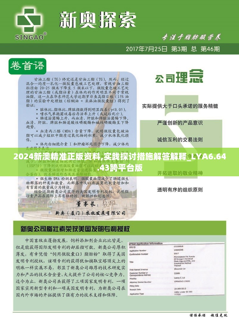 新澳2024年精准资料期期|证实释义解释落实,新澳2024年精准资料期期，释义解释与落实行动