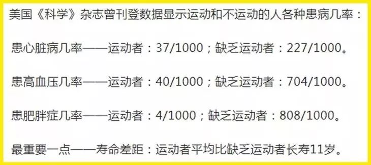 2024新澳三期必出一肖|强劲释义解释落实,关于新澳三期必出一肖的强劲释义与落实策略探讨