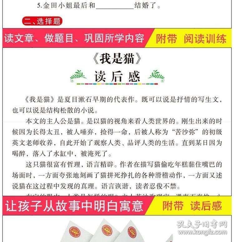 新奥天天彩免费资料最新版本更新内容|性计释义解释落实,新奥天天彩免费资料最新版本更新内容解析与性计释义的落实探讨