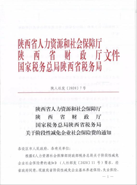 新澳精准资料免费提供221期|术研释义解释落实,新澳精准资料免费提供221期，术研释义与解释的落实