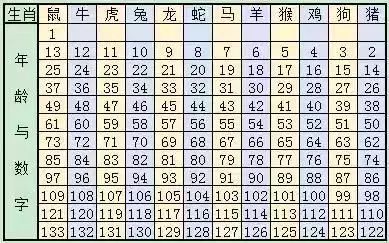 2024十二生肖49码表|进度释义解释落实,揭秘2024十二生肖与数字49的奇妙联系，进度释义解释与落实洞察